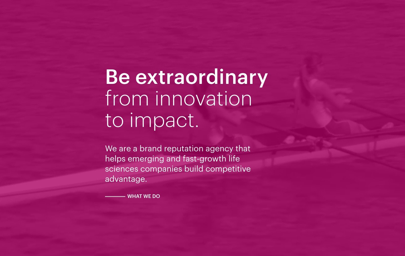 Waterhouse Brands website homepage, desktop view